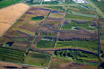 Vue aérienne de Biotopes du Rheinschanzinsel à Philippsburg dans le département Bade-Wurtemberg, Allemagne