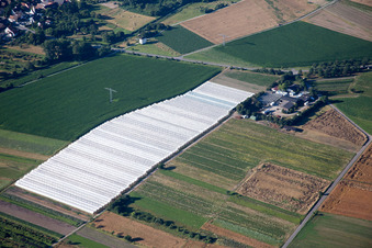 Vue aérienne de Quartier Staffort in Stutensee dans le département Bade-Wurtemberg, Allemagne