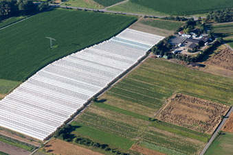Vue aérienne de Rangées de serres pour la culture de fleurs à la pépinière de Sven Sobottka et à la boutique de la ferme de Leicht dans le district de Spöck à le quartier Staffort in Stutensee dans le département Bade-Wurtemberg, Allemagne