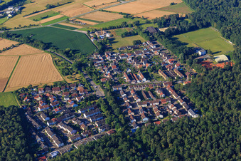Vue aérienne de Quartier de Waldbrücke à Weingarten dans le département Bade-Wurtemberg, Allemagne