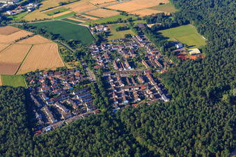 Vue aérienne de Quartier de Waldbrücke à Weingarten dans le département Bade-Wurtemberg, Allemagne