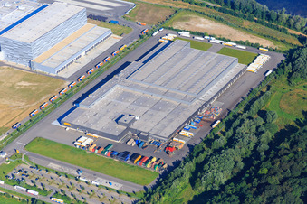 Vue aérienne de Zone industrielle d'Am Oberwald avec centre logistique Netto à Wörth am Rhein dans le département Rhénanie-Palatinat, Allemagne