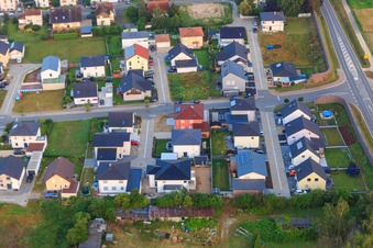 Photographie aérienne de Dans le buisson de sureau à Minfeld dans le département Rhénanie-Palatinat, Allemagne