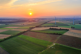 Vue aérienne de Parc éolien de Minfeld au coucher du soleil à Minfeld dans le département Rhénanie-Palatinat, Allemagne