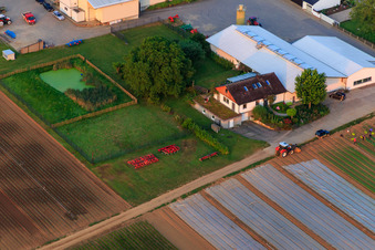 Jardin du fermier à Winden dans le département Rhénanie-Palatinat, Allemagne d'en haut