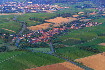 Vue aérienne de Vue du village depuis le nord-est à Niederhorbach dans le département Rhénanie-Palatinat, Allemagne
