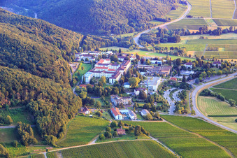 Vue aérienne de Hôpital Palatinat de psychiatrie et de neurologie à Klingenmünster dans le département Rhénanie-Palatinat, Allemagne