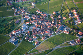 Vue aérienne de Champs agricoles et terres agricoles à le quartier Gleiszellen in Gleiszellen-Gleishorbach dans le département Rhénanie-Palatinat, Allemagne