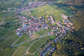 Vue aérienne de Champs agricoles et terres agricoles à le quartier Gleiszellen in Gleiszellen-Gleishorbach dans le département Rhénanie-Palatinat, Allemagne
