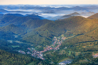 Vue aérienne de Vue du village dans la forêt du Palatinat le matin depuis le nord-est à Schwanheim dans le département Rhénanie-Palatinat, Allemagne