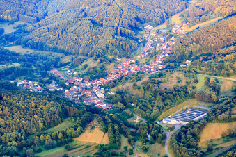 Vue aérienne de Vue du village avec Lugina Schuhfabrik GmbH dans la forêt du Palatinat le matin depuis le nord-est à Schwanheim dans le département Rhénanie-Palatinat, Allemagne