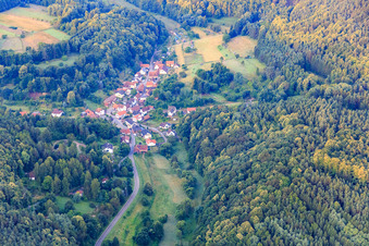 Vue aérienne de Vue du village dans la forêt du Palatinat le matin depuis le nord à Dimbach dans le département Rhénanie-Palatinat, Allemagne