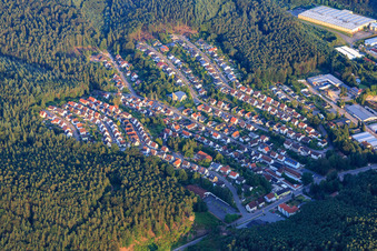 Vue aérienne de Quartier de Waldenburger Straße à Hauenstein dans le département Rhénanie-Palatinat, Allemagne