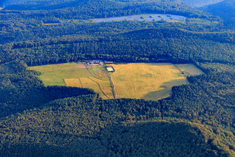 Vue aérienne de Centre équestre Glade-Ranch Kuffenberg dans une clairière de la forêt du Palatinat à Merzalben dans le département Rhénanie-Palatinat, Allemagne