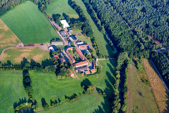 Vue aérienne de Quartier Eichelscheiderhof in Waldmohr dans le département Rhénanie-Palatinat, Allemagne
