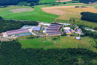 Vue aérienne de Hobstätterhof avec l'écurie - Saloon à Einöllen dans le département Rhénanie-Palatinat, Allemagne