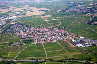 Vue aérienne de Champs agricoles et terres agricoles à Tiefenthal dans le département Rhénanie-Palatinat, Allemagne