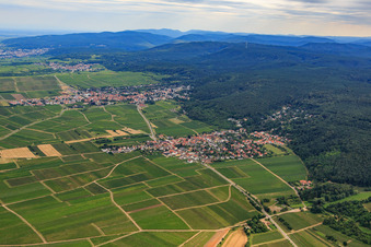 Vue aérienne de Ville viticole sur le Hardtrand vu du nord à Bobenheim am Berg dans le département Rhénanie-Palatinat, Allemagne