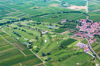 Vue aérienne de Terrain de golf à Dackenheim dans le département Rhénanie-Palatinat, Allemagne