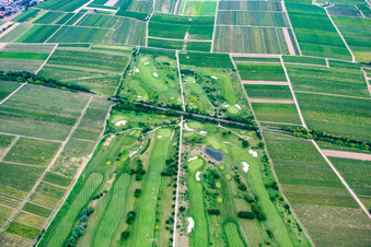 Vue aérienne de Club de golf à Dackenheim dans le département Rhénanie-Palatinat, Allemagne