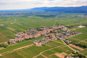 Vue aérienne de Rue de la gare à Friedelsheim dans le département Rhénanie-Palatinat, Allemagne