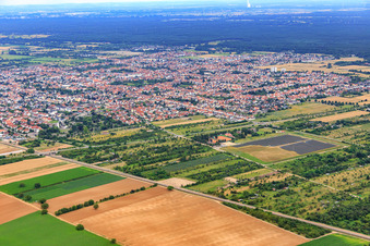 Vue aérienne de Vue de la ville depuis le nord-ouest à Haßloch dans le département Rhénanie-Palatinat, Allemagne