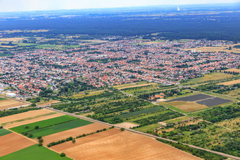 Vue aérienne de Vue de la ville depuis le nord-ouest à Haßloch dans le département Rhénanie-Palatinat, Allemagne