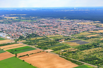 Photographie aérienne de Vue de la ville depuis le nord-ouest à Haßloch dans le département Rhénanie-Palatinat, Allemagne
