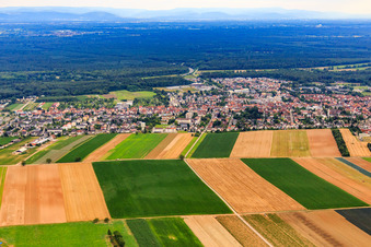 Vue aérienne de Vue de la ville depuis le château d'eau depuis le nord à Kandel dans le département Rhénanie-Palatinat, Allemagne