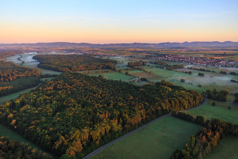 Vue aérienne de Bienwald, Viehstrich, plaine d'Otterbach le matin à Freckenfeld dans le département Rhénanie-Palatinat, Allemagne