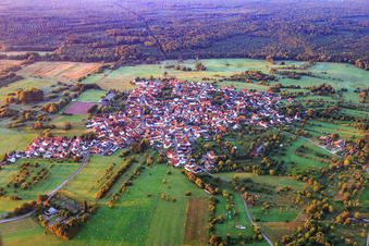 Vue aérienne de Vue du village sur une clairière forestière dans le Bienwald depuis le nord à le quartier Büchelberg in Wörth am Rhein dans le département Rhénanie-Palatinat, Allemagne