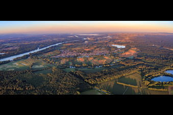 Vue aérienne de Vue du Rhin et du village le matin depuis le nord à Neuburg am Rhein dans le département Rhénanie-Palatinat, Allemagne