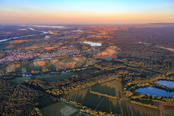 Vue aérienne de Vue du village le matin depuis le nord à Neuburg am Rhein dans le département Rhénanie-Palatinat, Allemagne