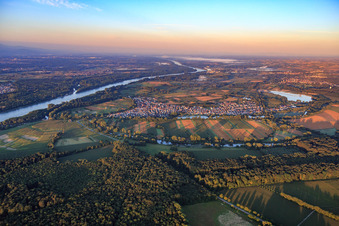 Vue aérienne de Vue du Rhin et du village le matin depuis le nord à Neuburg am Rhein dans le département Rhénanie-Palatinat, Allemagne