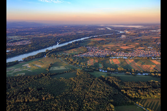 Photographie aérienne de Vue du Rhin et du village le matin depuis le nord à Neuburg am Rhein dans le département Rhénanie-Palatinat, Allemagne