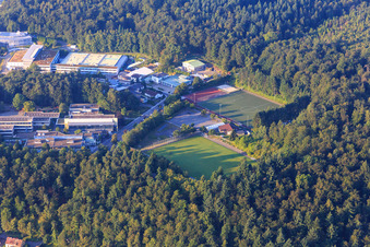 Vue aérienne de Terrains de sport du 1. FC Ispringen en bordure de forêt à Ispringen dans le département Bade-Wurtemberg, Allemagne