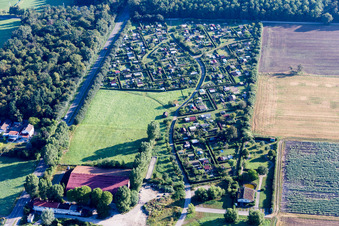 Vue aérienne de Parcelles d'un jardin familial dans l'État fédéral à le quartier Wiesental in Waghäusel dans le département Bade-Wurtemberg, Allemagne