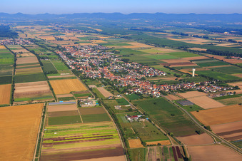 Vue aérienne de Vue de la ville depuis l'est à le quartier Niederlustadt in Lustadt dans le département Rhénanie-Palatinat, Allemagne