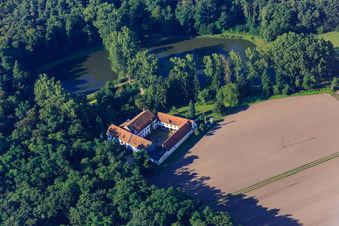 Vue aérienne de Moulin à vent Lustadt à le quartier Niederlustadt in Lustadt dans le département Rhénanie-Palatinat, Allemagne