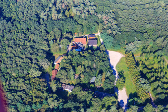 Vue aérienne de Handkeesplatz avec la cabane Loschter dans la forêt à le quartier Niederlustadt in Lustadt dans le département Rhénanie-Palatinat, Allemagne