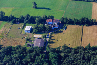 Vue aérienne de Centre de développement professionnel à Ludwigsmühle an der Queich à le quartier Niederlustadt in Lustadt dans le département Rhénanie-Palatinat, Allemagne