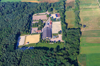 Vue aérienne de Club d'équitation et de conduite Zeiskam eV de l'Est à Zeiskam dans le département Rhénanie-Palatinat, Allemagne