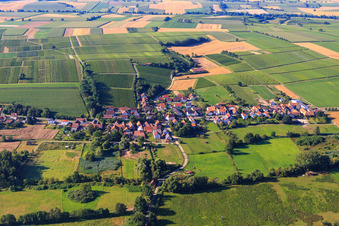 Vue aérienne de Vue du village depuis le nord à Hergersweiler dans le département Rhénanie-Palatinat, Allemagne
