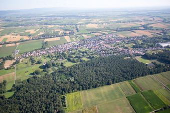 Vue oblique de Quartier Schaidt in Wörth am Rhein dans le département Rhénanie-Palatinat, Allemagne
