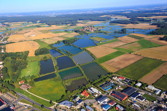 Vue aérienne de Paysage d'étangs à poissons de Franconie à le quartier Oberlindach in Weisendorf dans le département Bavière, Allemagne