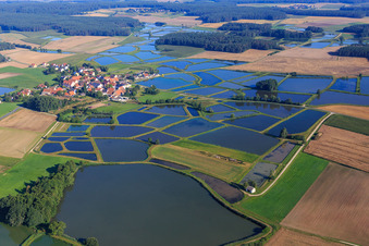 Vue aérienne de Étangs à carpes dans le paysage piscicole de Franconie à le quartier Oberlindach in Weisendorf dans le département Bavière, Allemagne