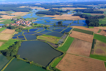 Vue aérienne de Étangs à carpes dans le paysage piscicole de Franconie à le quartier Oberlindach in Weisendorf dans le département Bavière, Allemagne
