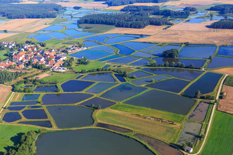Photographie aérienne de Étangs à carpes dans le paysage piscicole de Franconie à le quartier Oberlindach in Weisendorf dans le département Bavière, Allemagne