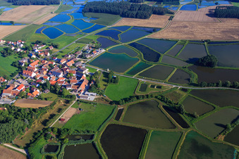 Vue oblique de Étangs à carpes dans le paysage piscicole de Franconie à le quartier Oberlindach in Weisendorf dans le département Bavière, Allemagne