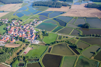 Vue aérienne de Systèmes d'étangs pour la pisciculture Étangs d'élevage de carpes franconiennes à Oberlindach près d'Erlangen à le quartier Oberlindach in Weisendorf dans le département Bavière, Allemagne